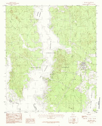 Broaddus 1984 topographic map thumbnail