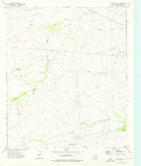 Castile Hill 1973 topographic map thumbnail