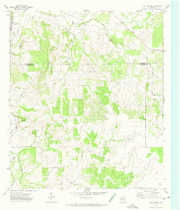 Cave Spring 1972 topographic map thumbnail