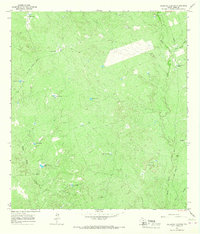 Cerritos Blancos 1965 topographic map thumbnail