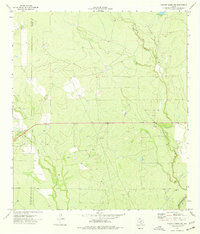 Chacon Creek NE 1974 topographic map thumbnail