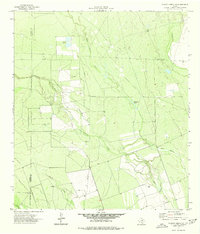 Chacon Creek SE 1974 topographic map thumbnail