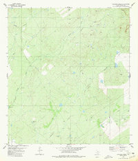 Chargos Creek 1980 topographic map thumbnail
