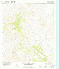 Chinati Peak 1979 topographic map thumbnail