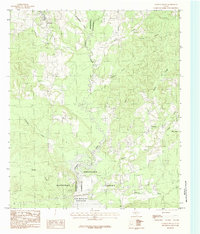 Chireno South 1984 topographic map thumbnail