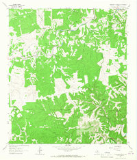 Diamond S Ranch 1964 topographic map thumbnail