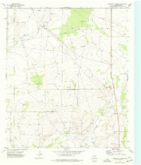Diamond Y Spring 1974 topographic map thumbnail
