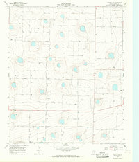 Dimmitt SW 1965 topographic map thumbnail