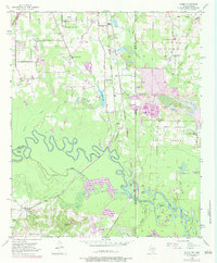 Domino 1954 topographic map thumbnail