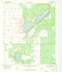 Double Lakes 1969 topographic map thumbnail