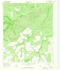 Dundee SW 1963 topographic map thumbnail