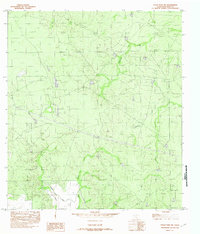 Eagle Pass NE 1982 topographic map thumbnail