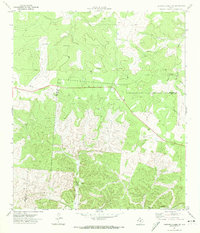 Earwood Creek SW 1971 topographic map thumbnail
