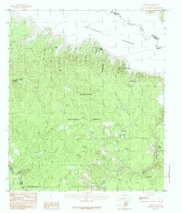 Ebenezer 1984 topographic map thumbnail