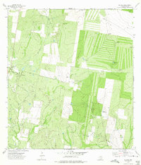 El Sauz 1972 topographic map thumbnail