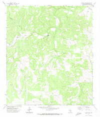 Elbow Lake 1971 topographic map thumbnail