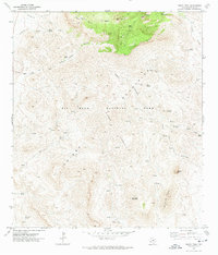Emory Peak 1971 topographic map thumbnail