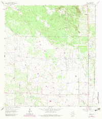 Encino 1963 topographic map thumbnail