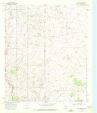 Eunice SE 1969 topographic map preview