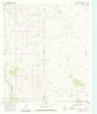 Eunice SE 1969 topographic map thumbnail