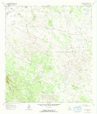 Falfurrias SE 1963 topographic map thumbnail