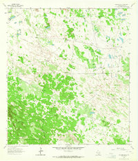 Falfurrias SE 1963 topographic map thumbnail