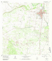 Falfurrias 1963 topographic map thumbnail