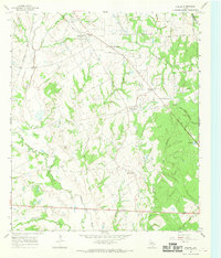 Fallon 1966 topographic map thumbnail