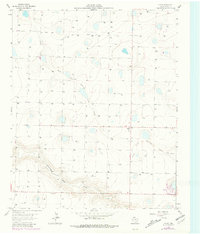 Flagg 1963 topographic map preview