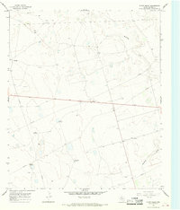 Flynt Ranch 1966 topographic map thumbnail