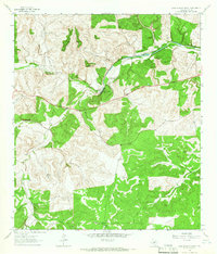 Fort Terrett Ranch 1963 topographic map preview