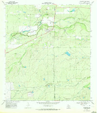 Fowlerton 1969 topographic map thumbnail
