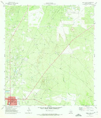Freer North 1971 topographic map thumbnail