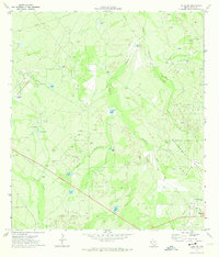 Freer NW 1971 topographic map thumbnail