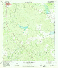 Freer South 1971 topographic map thumbnail