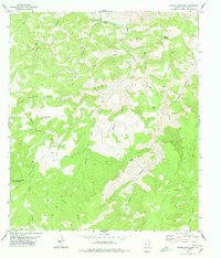 Friend Mountain 1978 topographic map thumbnail