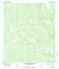 Frio Town NE 1970 topographic map thumbnail