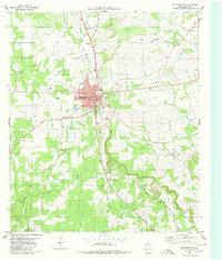 Goldthwaite 1980 topographic map thumbnail