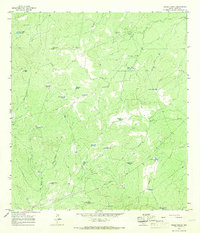 Cibolo Ranch 1965 topographic map thumbnail