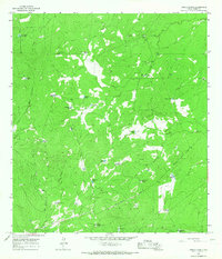 Cibolo Ranch 1965 topographic map thumbnail