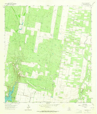 Citrus City 1963 topographic map thumbnail