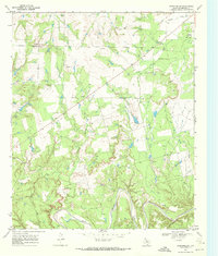 Coon Hollow 1968 topographic map thumbnail
