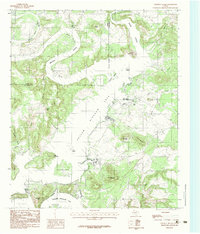 Costello Island 1984 topographic map thumbnail