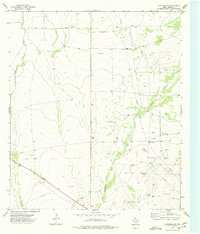 Coyanosa SE 1974 topographic map thumbnail