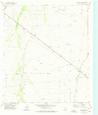 Coyanosa SW 1974 topographic map thumbnail