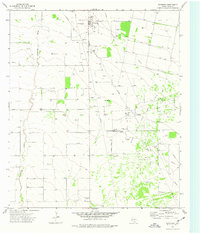 Coyanosa 1974 topographic map thumbnail