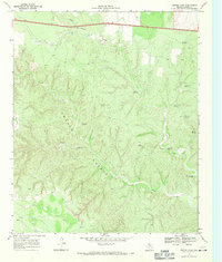 Croton Camp 1968 topographic map thumbnail