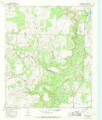 Cub Hollow topographic map thumbnail
