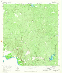 Cuervo Creek 1965 topographic map thumbnail
