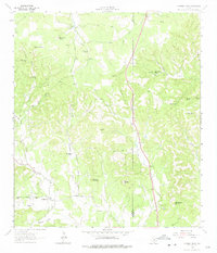 Cypress Creek 1964 topographic map thumbnail